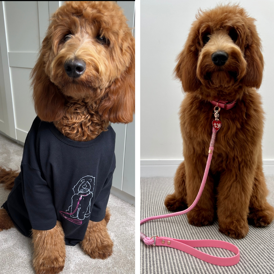 Deluxe Personalised Embroidered T-Shirt Unisex